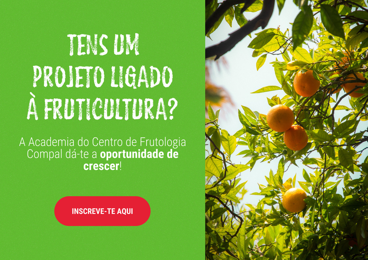 cartaz academia frutologia compal
